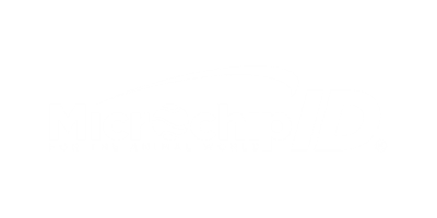 BRAVE