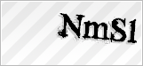 CAPTCHA security code