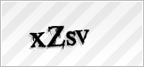 CAPTCHA security code
